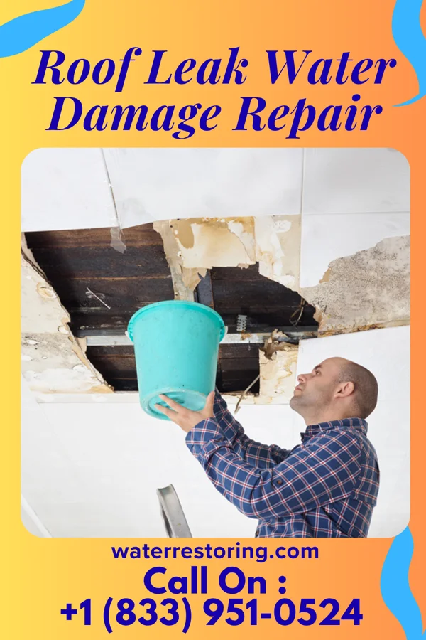 Roof Leak Water Damage Repair in Versailles, IN