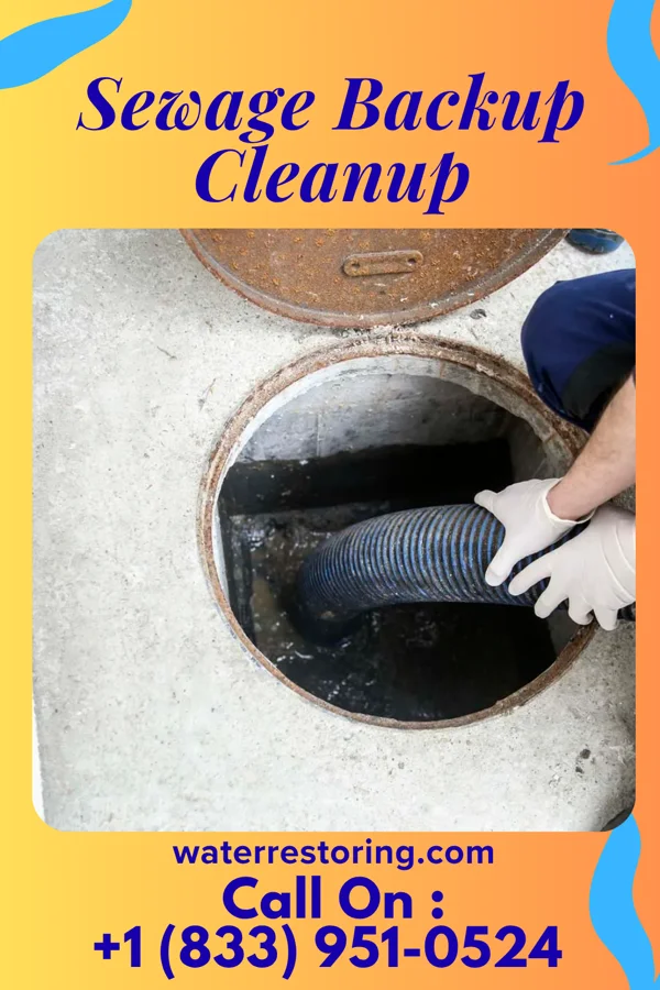 Sewage Backup Cleanup in Versailles, IN
